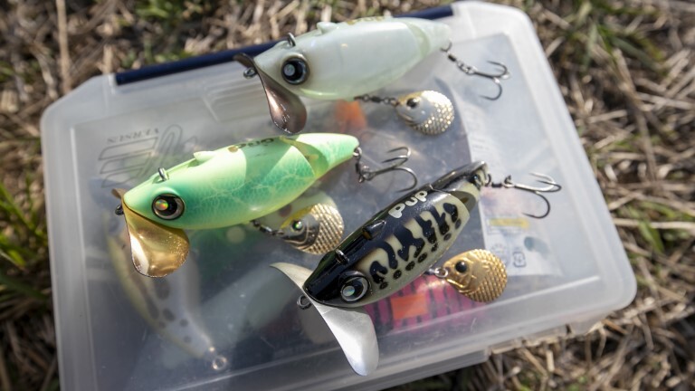 増水時のナマズ釣り】どこを狙う？エキスパートが教える狙うべき